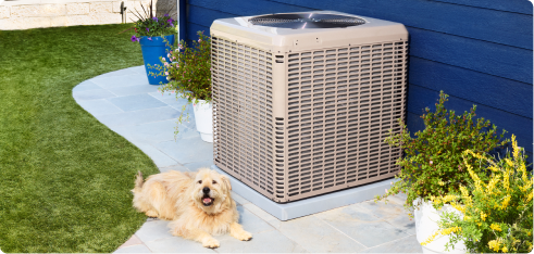 Dog laying next to outdoor AC unit